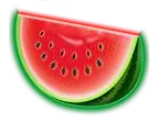 Watermelon symbol